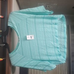 Cato sheer crop top